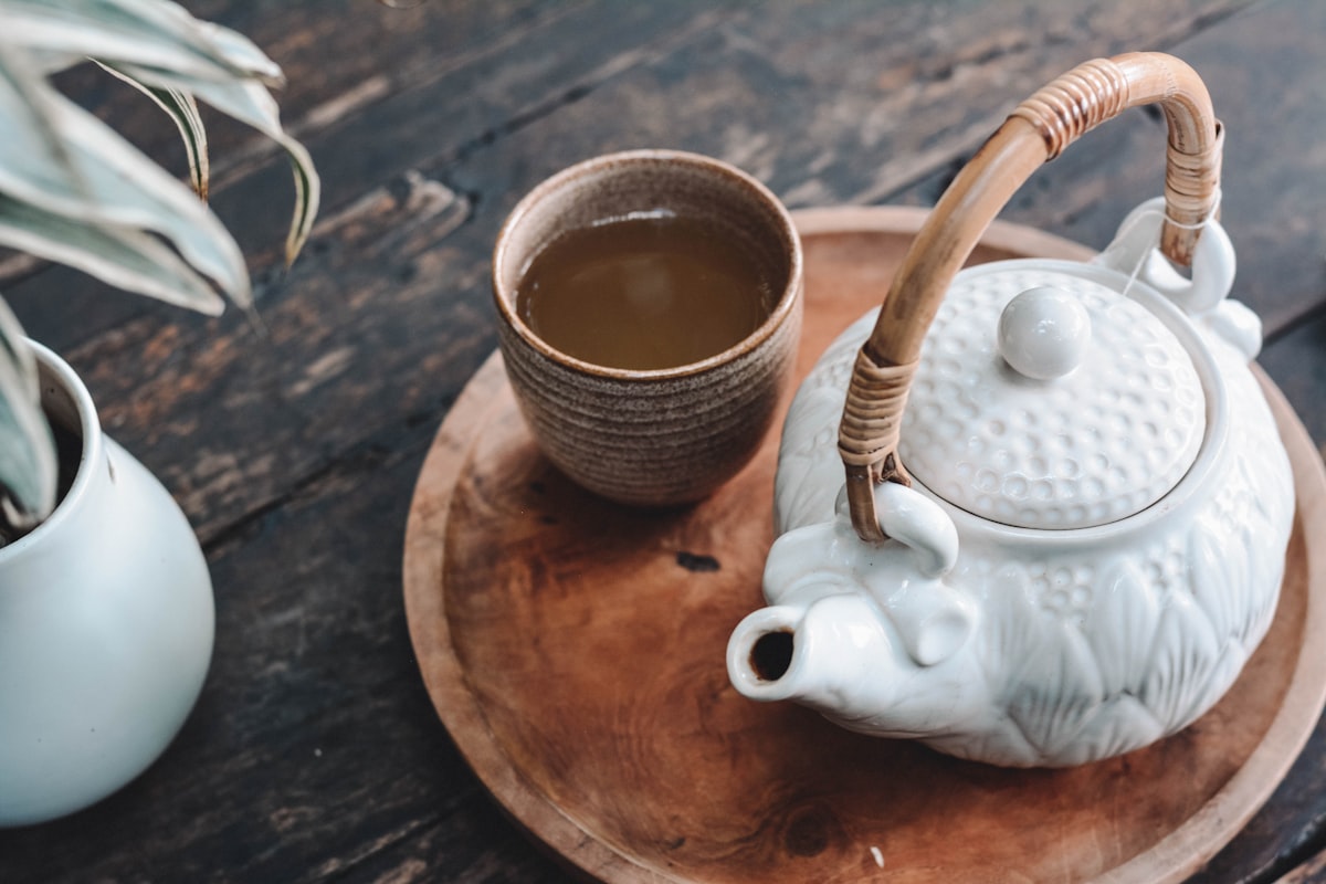 Improving Meta and Google Efficiency for a Seasonal DTC Brand – Plum Deluxe