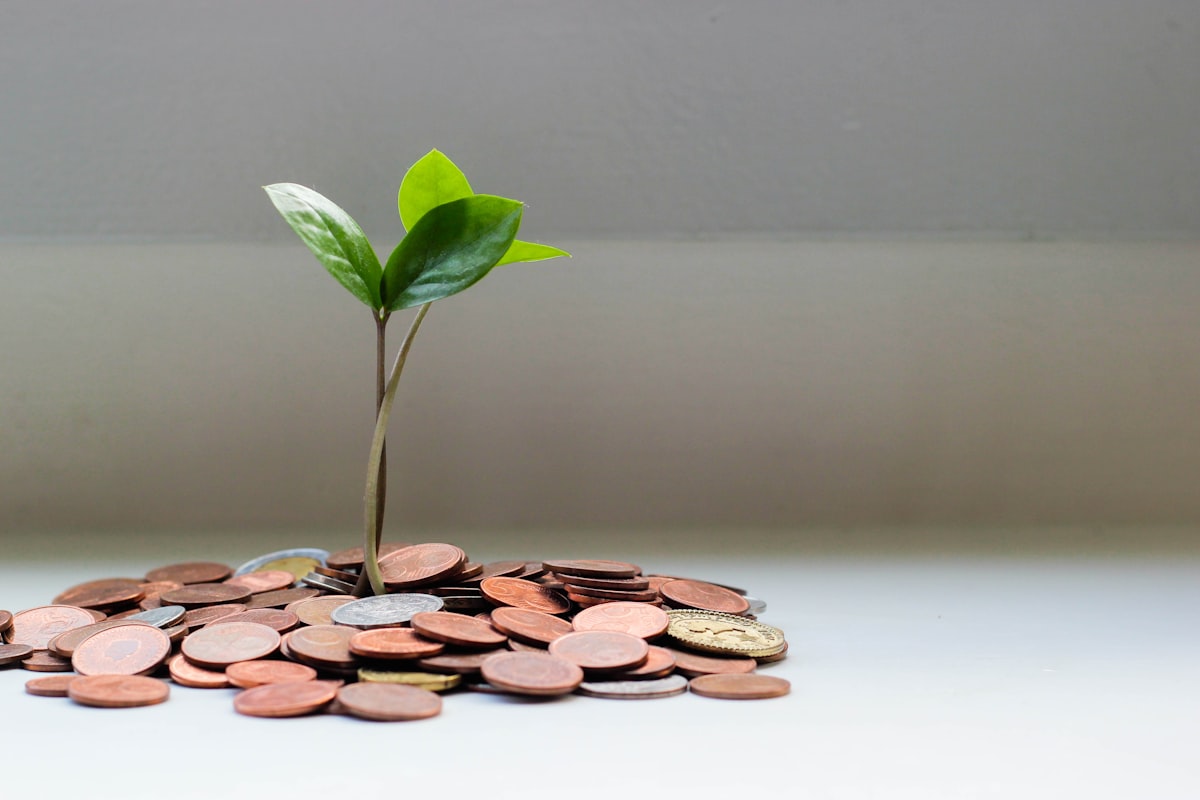 Ecommerce Passive Income and Amazon Passive Income: A Guide to Creating a Lucrative Online Business